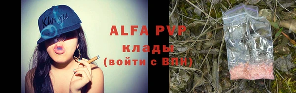 прущие крисы Бородино