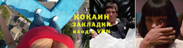 сатива Ростов
