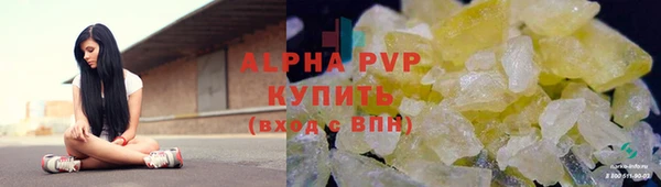 прущие крисы Бородино
