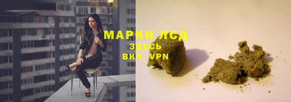 прущие крисы Бородино