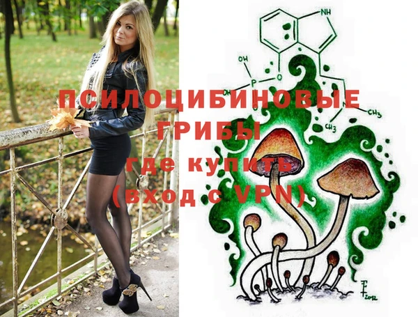 прущие крисы Бородино
