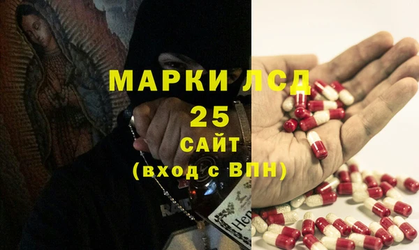 прущие крисы Бородино