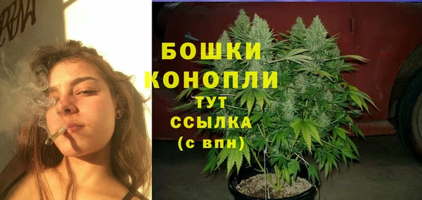 прущие крисы Бородино