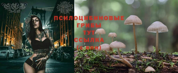 прущие крисы Бородино
