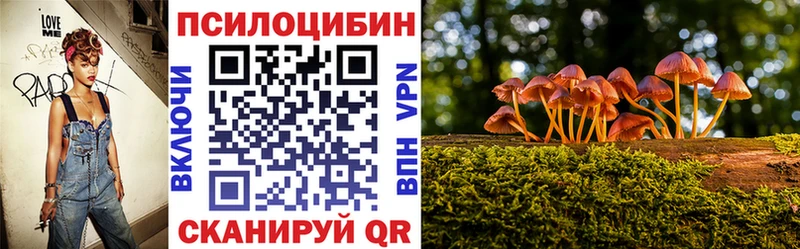 мега онион  Ковров  Псилоцибиновые грибы мицелий 